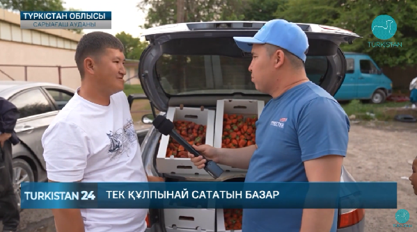 Сарыағаш ауданында тек құлпынай сататын базар бар - «Turkistan» телеарнасы